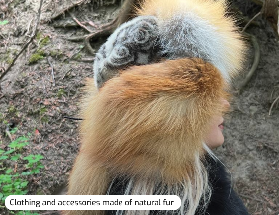 Clothing and accessories made of natural fur